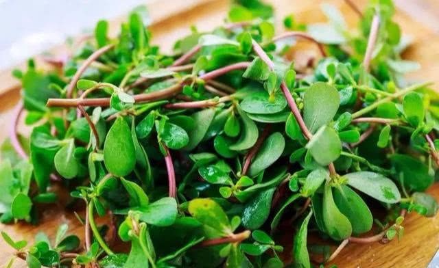 馬齒莧能護(hù)膚？你了解多少？