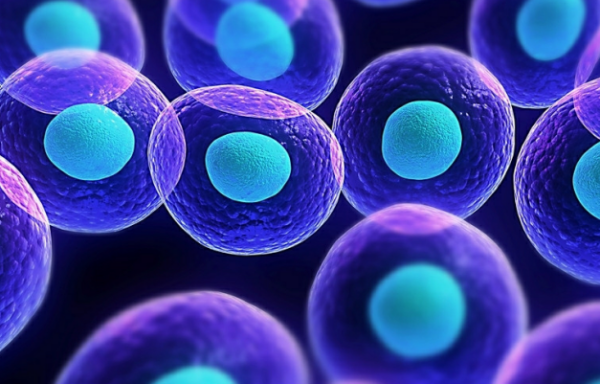 什么是水光？一文讀懂肌膚“深層補(bǔ)水”的秘密