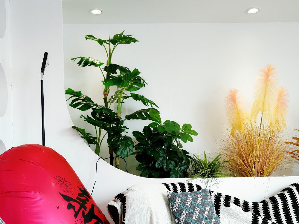 2025年加盟皮膚管理還能做嗎？